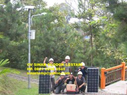 Lampu Jalan Tenaga Surya 30W Solar Cell 100WP